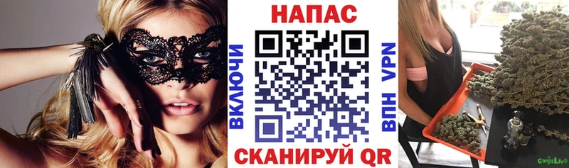 Магазины продажи наркотиков Краснознаменск Cocaine  Псилоцибиновые грибы  Меф мяу мяу  ГАШИШ  Кодеин  Каннабис 