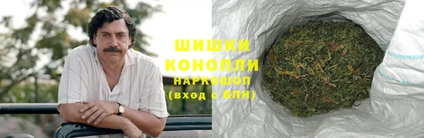 ГАЛЛЮЦИНОГЕННЫЕ ГРИБЫ Баксан