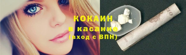 шишки Балабаново