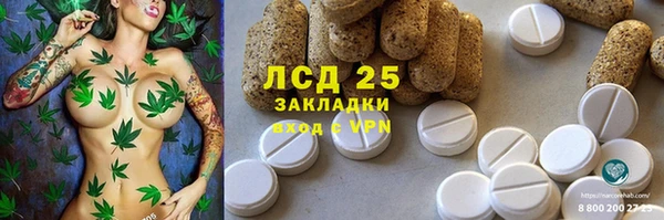 ГАЛЛЮЦИНОГЕННЫЕ ГРИБЫ Баксан