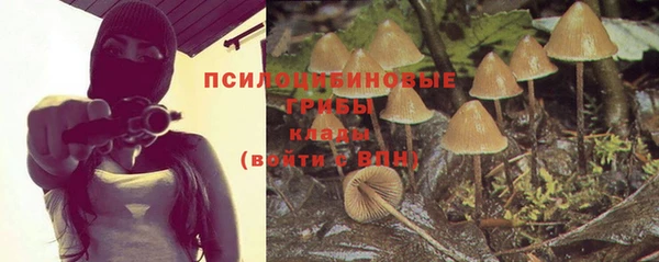 шишки Балабаново