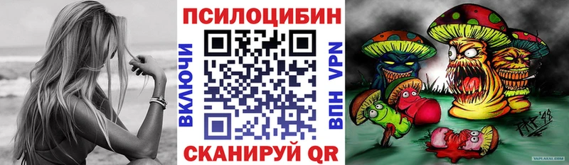 Псилоцибиновые грибы Cubensis  даркнет сайт  Краснознаменск 